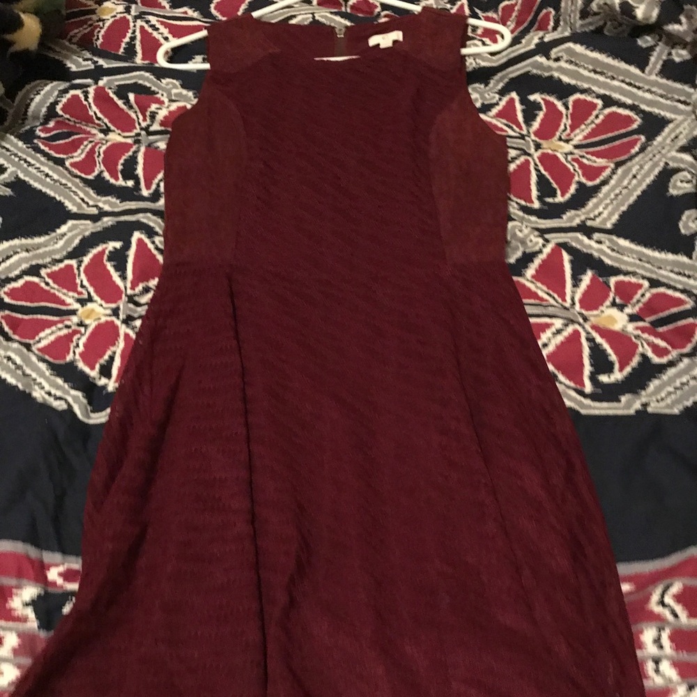 Charming Charlie Dress